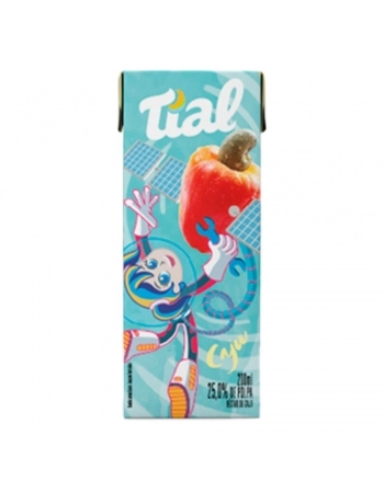 NECTAR CAJU TIAL 24X200ML